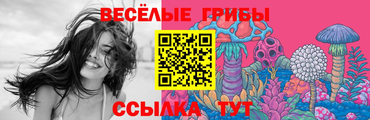 сколько стоит  Вход с VPN  Новокуйбышевск  Галлюциногенные грибы мицелий 